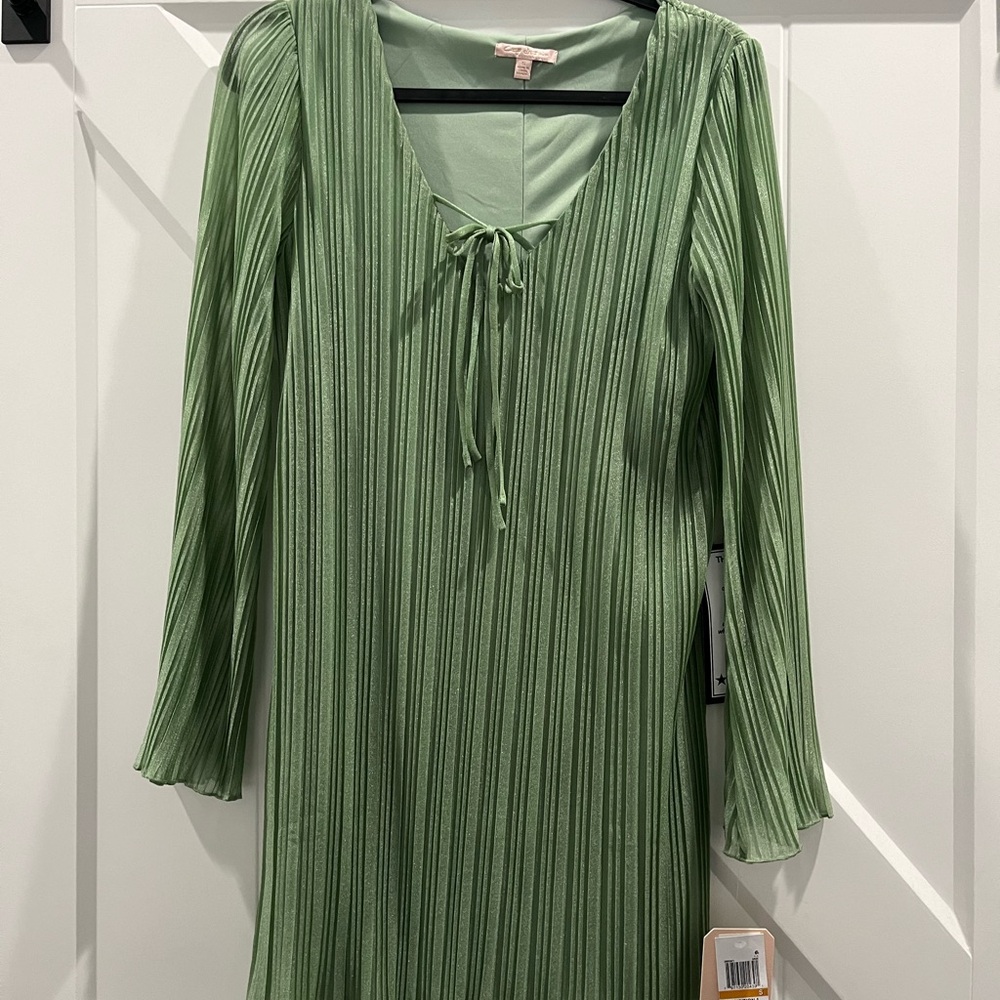Sage Long Sleeve Dress